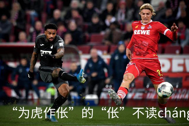 “为虎作伥”的“伥”不读cháng,我出过丑,现在牢牢记住了!